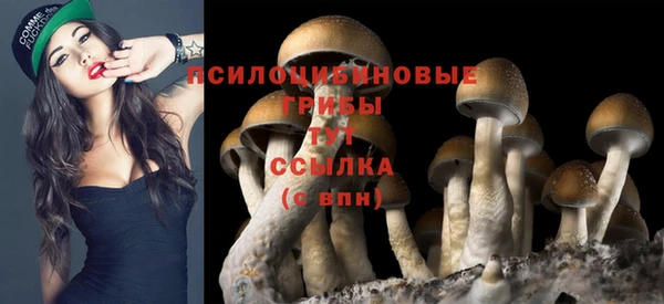 мет Балахна