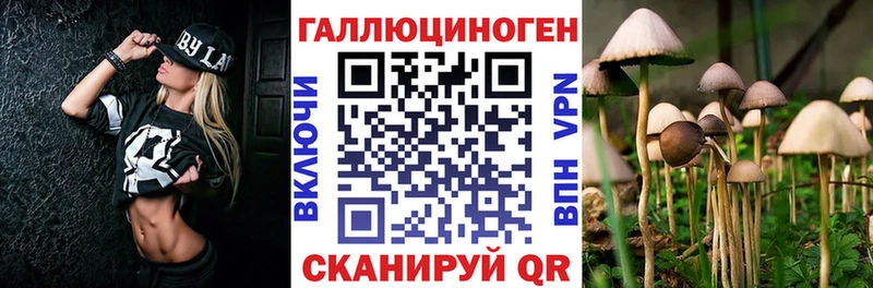 купить закладку Афипский Галлюциногенные грибы ЛСД